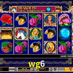 wg6 Rio de Janeiro - Bonus Terms