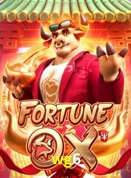 WG6.COM
